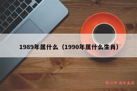 1989属什么